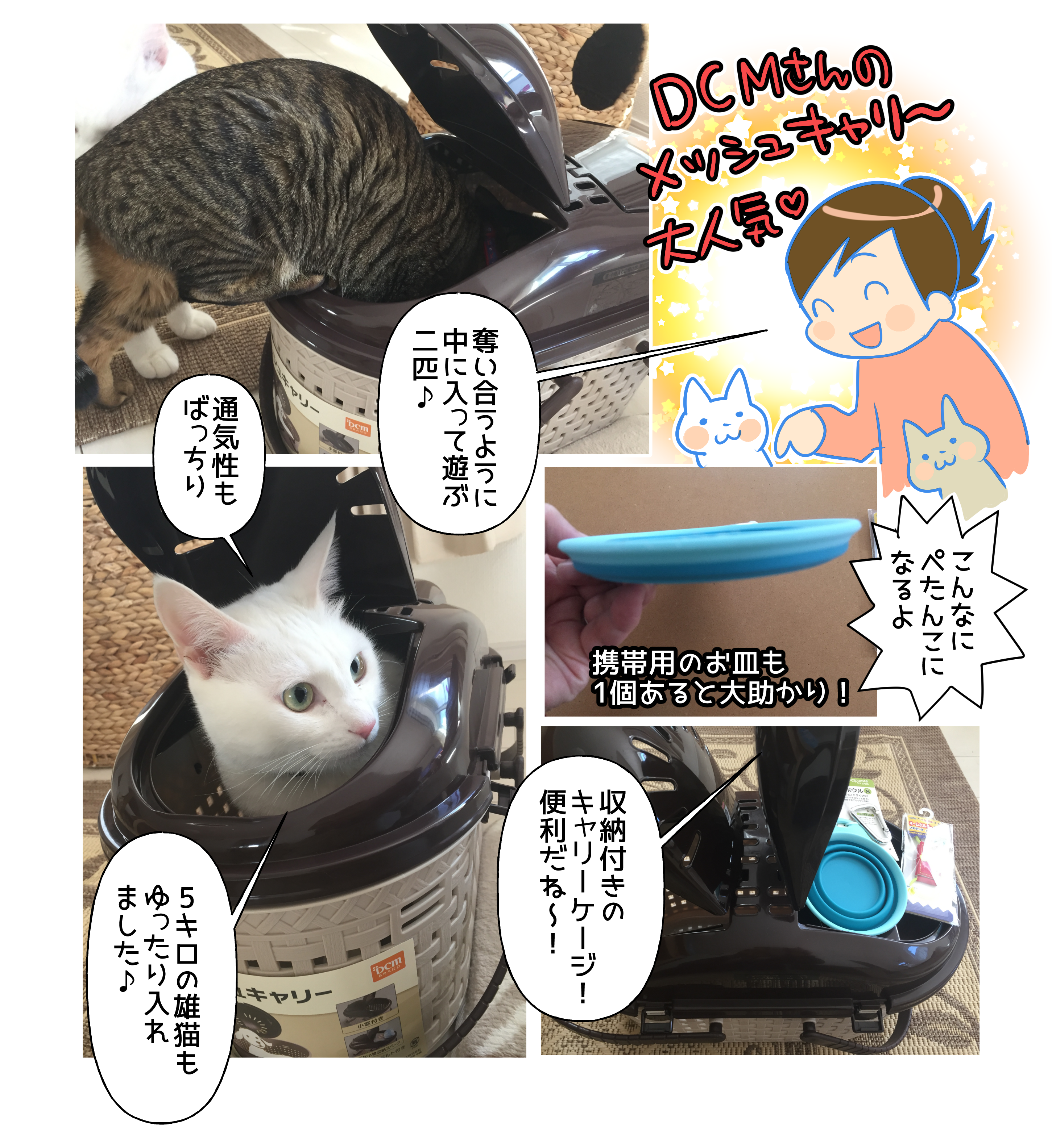 猫のグリ ボン もしもの備え を考える キャリーケージ編 グリ ボンち 連載 コラム くらしメイド ｄｃｍ