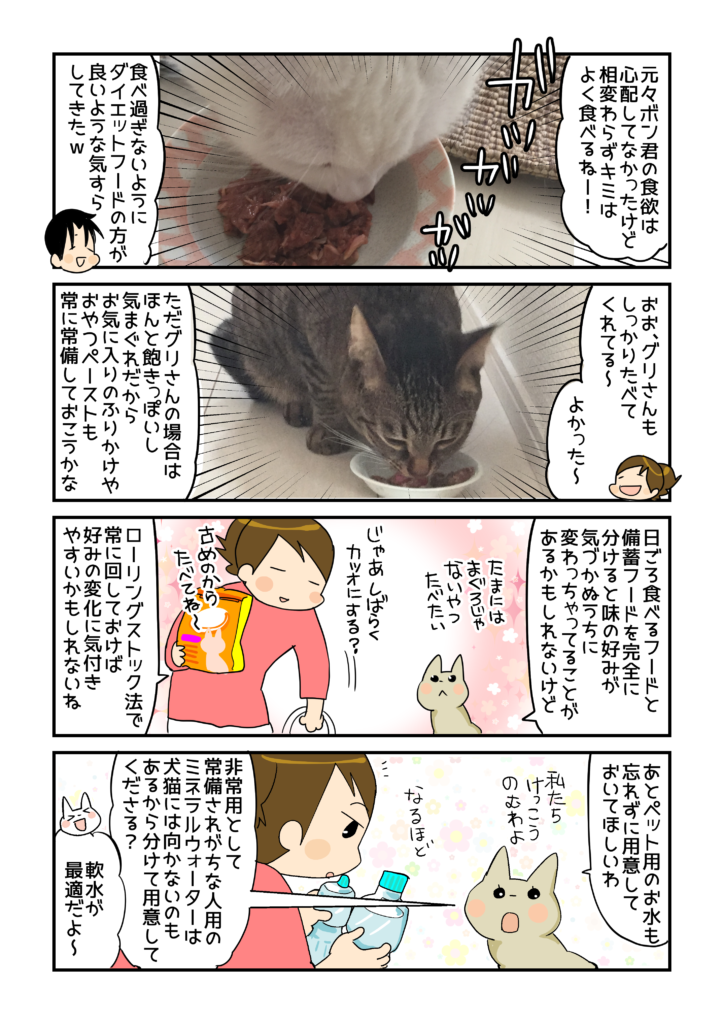 猫のグリ ボン もしもの備え を考える フード編 グリ ボンち 連載 コラム くらしメイド ｄｃｍ