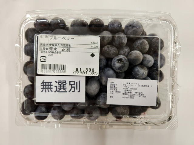 冷凍ブルーベリー