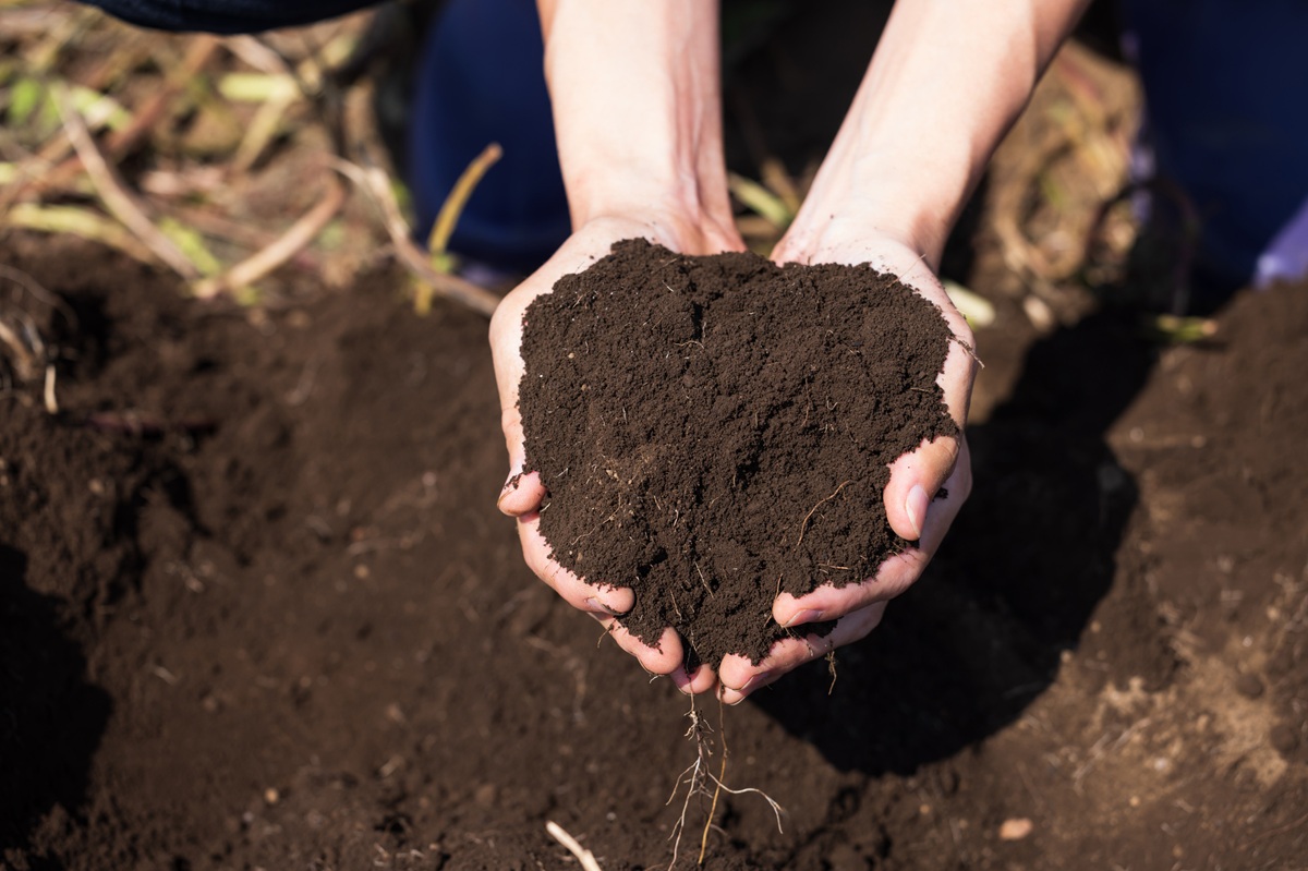 植物が生育しやすい土とは？