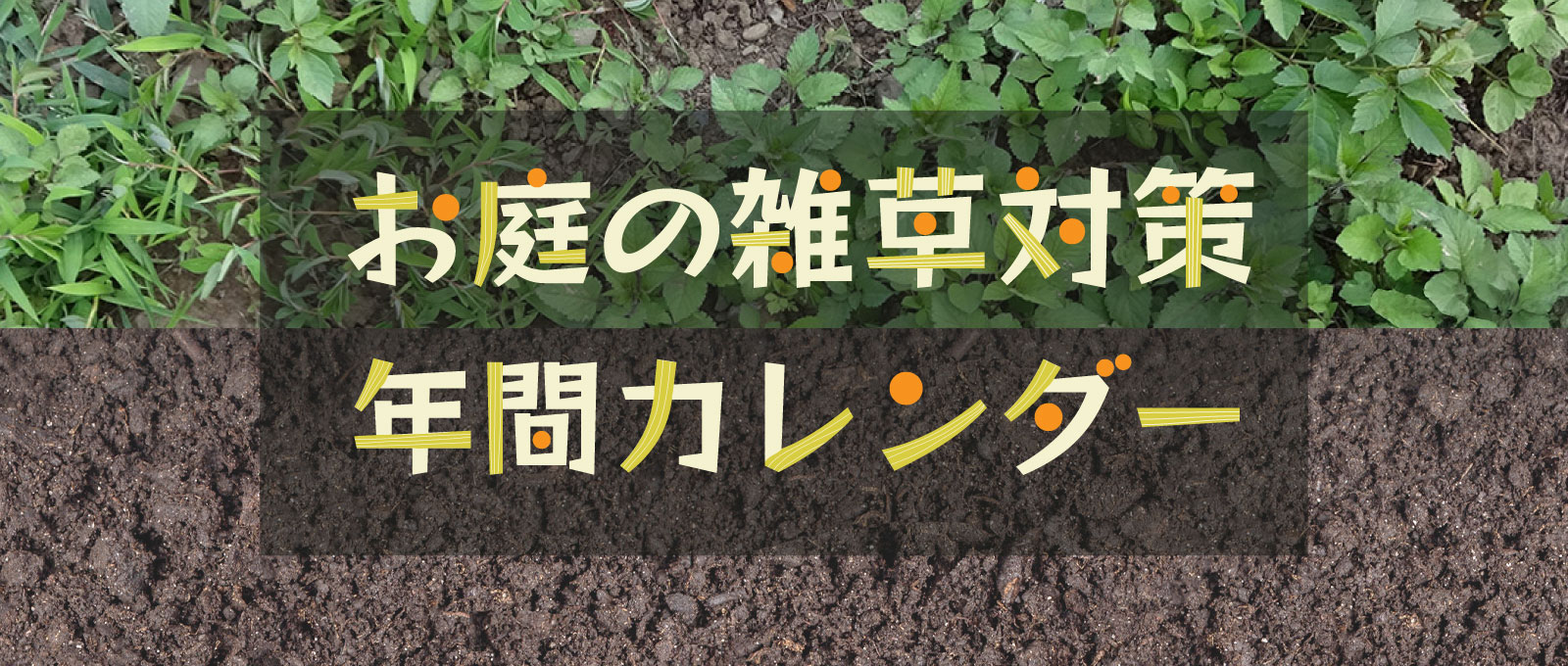 雑草対策特集（～9/30）