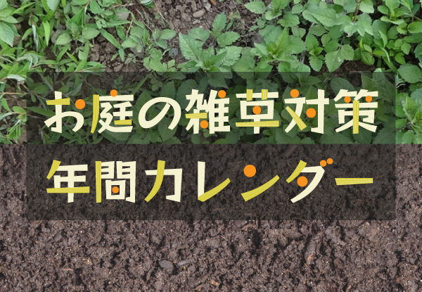 雑草対策特集（～9/30）